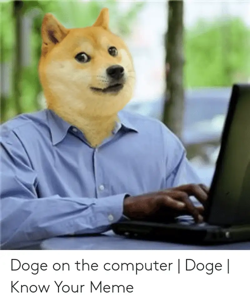 Tuyển tập ảnh hài hước nhất về shiba dog meme cho các fan cứng