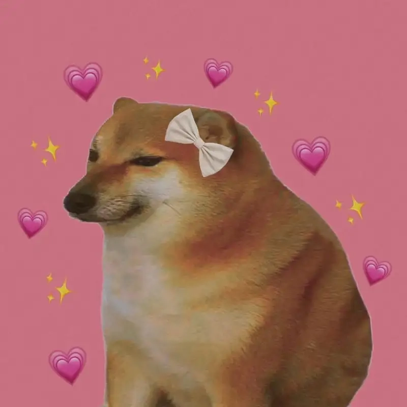 Cười nghiêng ngả cùng shiba meme chó shiba đa phong cách