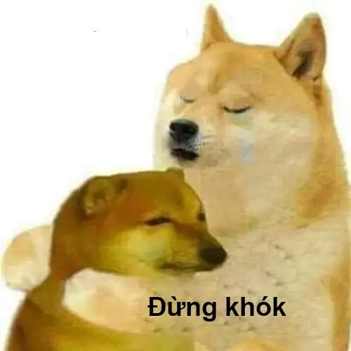 Cùng xem những hình ảnh hài hước trong shiba inu shiba inu dog meme