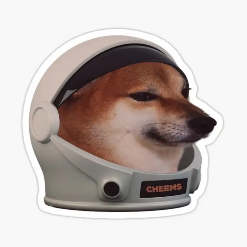 Bộ ảnh độc đáo về cheem meme khiến bạn bật cười không ngừng