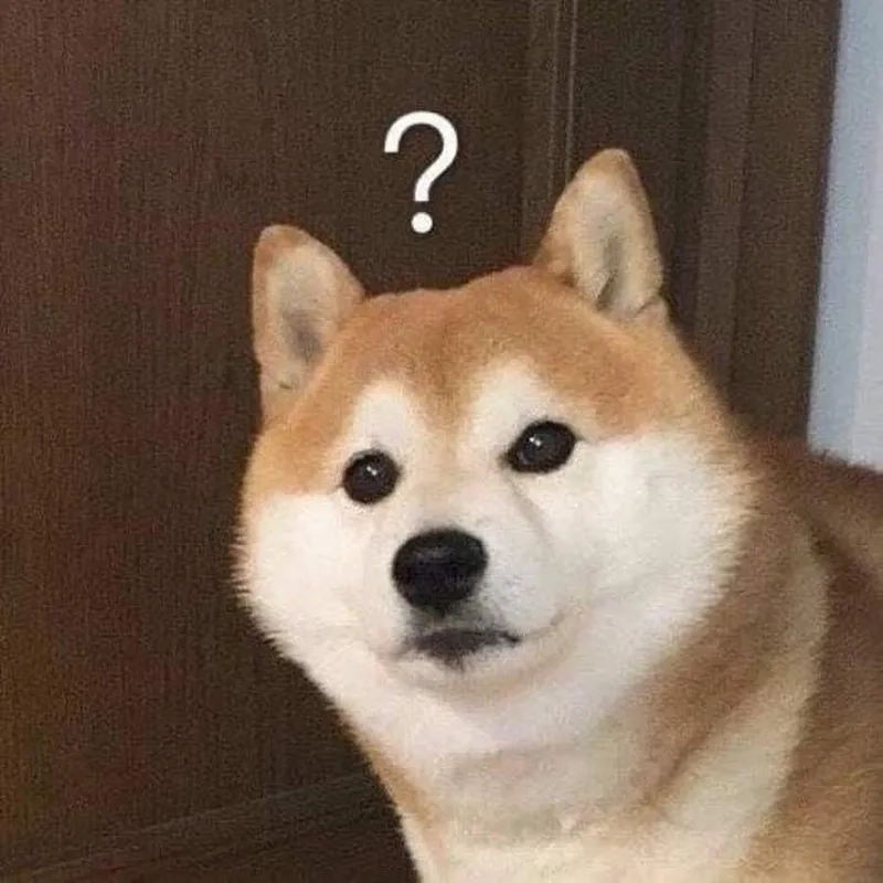 Hình ảnh hài hước và đáng yêu của chó cheems meme thu hút nhiều người