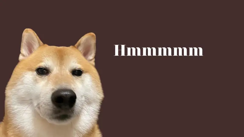 Tổng hợp những khoảnh khắc bá đạo từ ảnh meme cheem cheems