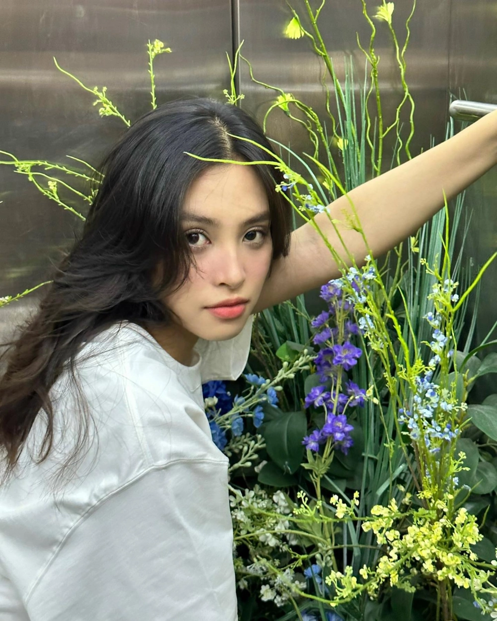 Visual ngọt ngào gây chú ý từ Trần Tiểu Vi