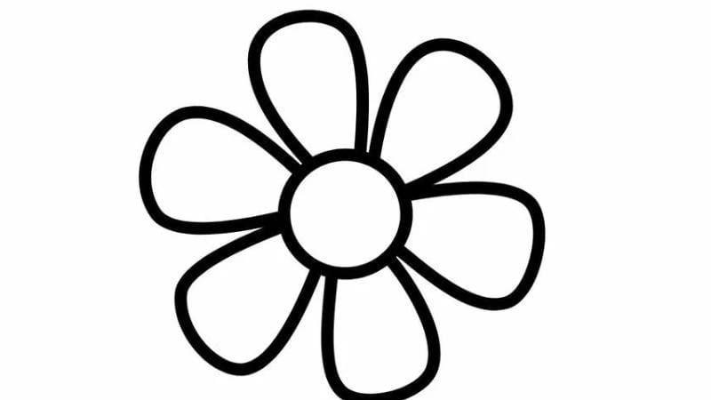 Khám phá tranh tô màu bông hoa 6 cánh đơn giản dễ thương