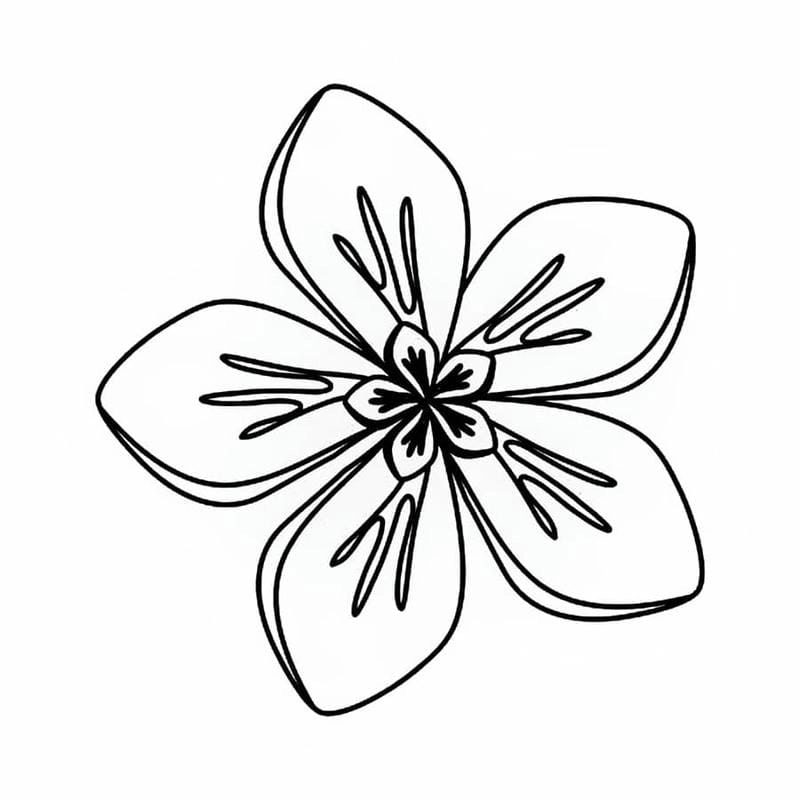 Khám phá hình vẽ tranh tô màu bông hoa 5 cánh đáng yêu