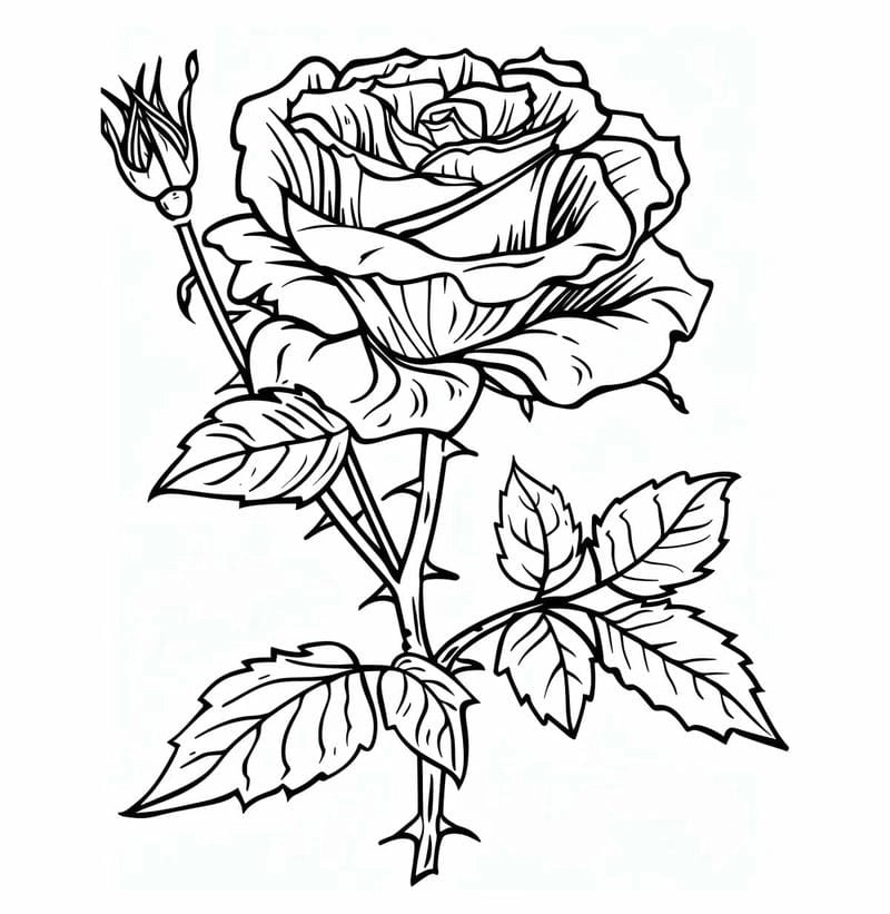 Tranh tô màu bông hoa hồng đẹp lãng mạn dễ gây ấn tượng