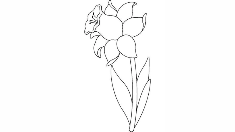 Giúp bé tập tô với tranh tô màu bông hoa cho bé