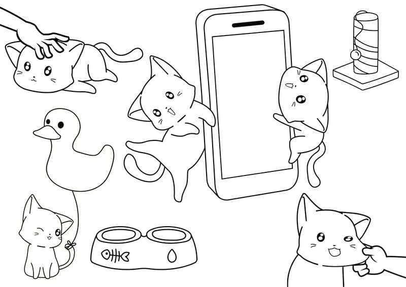 Khám phá thế giới qua tô màu mèo con