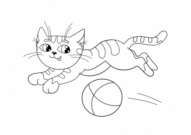 Vui học mỗi ngày bằng hình vẽ tô màu con mèo