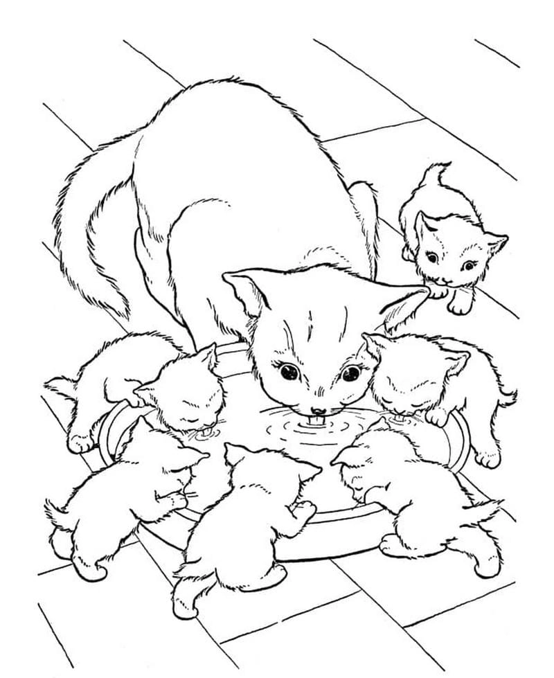 Tranh tô màu con mèo dễ thương giúp bé khám phá thế giới sắc màu
