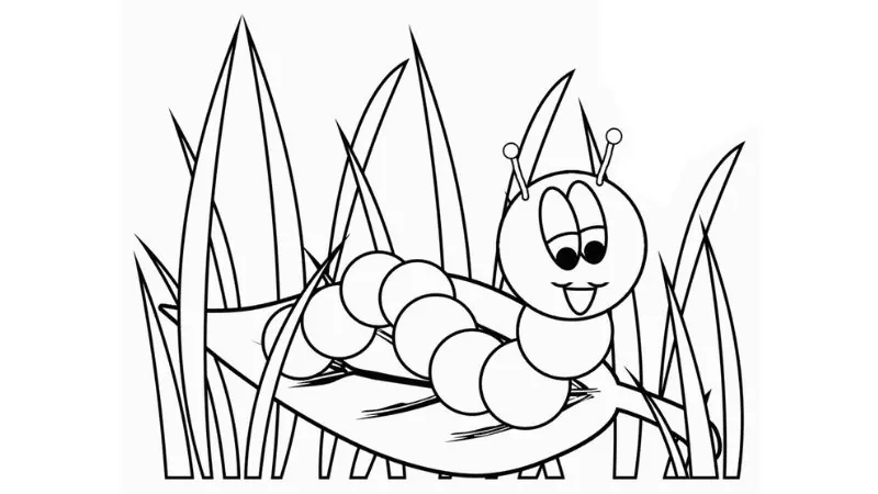 Ngộ nghĩnh tranh tô màu con vật cho bé 3 tuổi phát triển tư duy