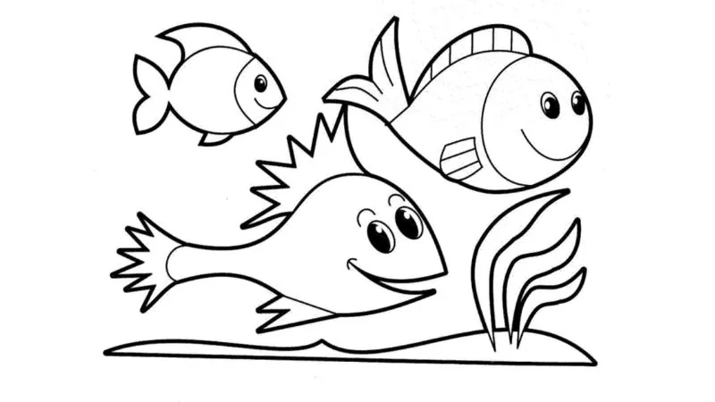 Bé sáng tạo với tranh tô màu con vật dưới nước