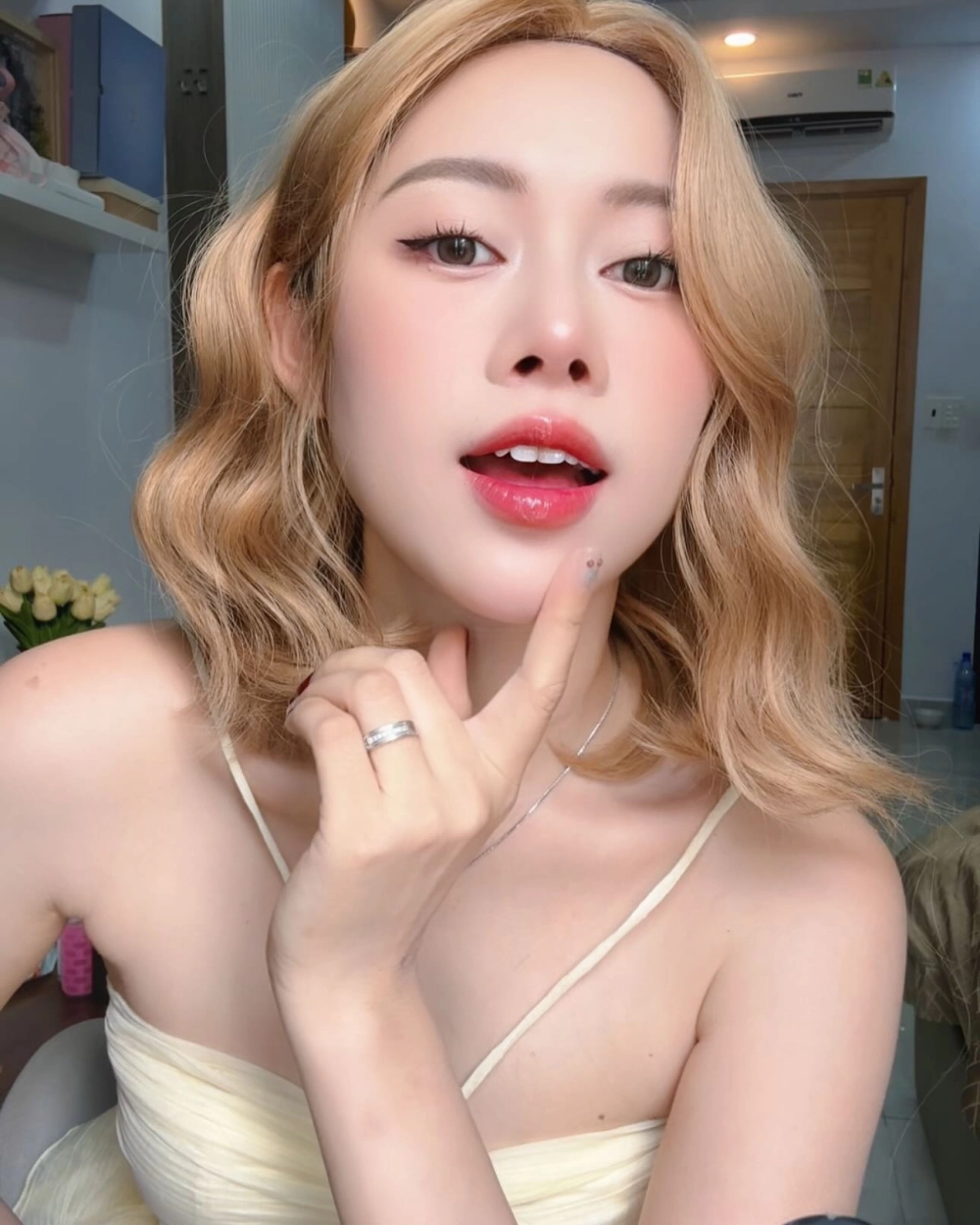 Tiểu sử về Việt Phương Thoa