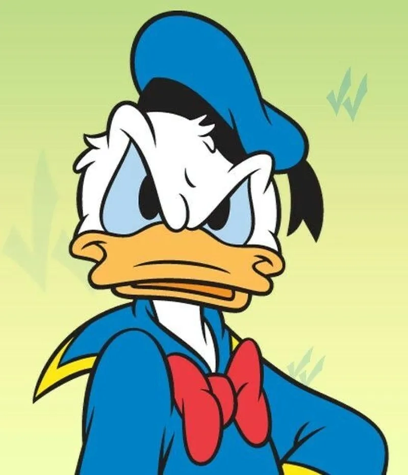 Gây bão mạng xã hội với donald meme bá đạo