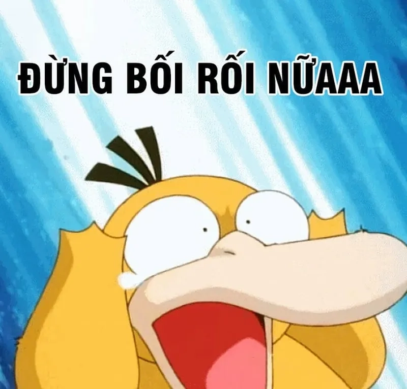 Chỉ một cái nhìn từ meme vịt bối rối là đủ gây thương nhớ