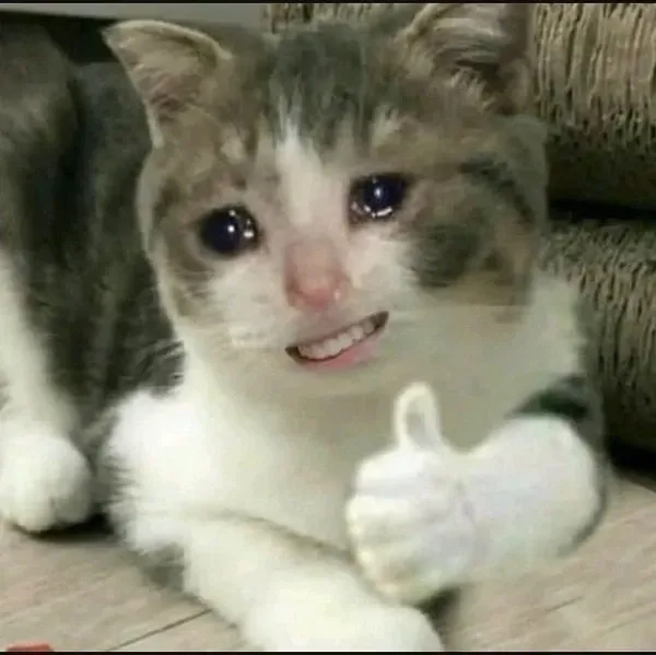 Trọn bộ avatar vô tri mèo meme dành cho tín đồ meme