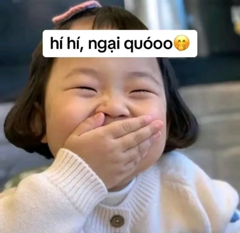 Không thể nhịn cười với ảnh meme ảnh vô tri