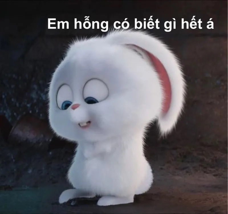 Gây nghiện với ảnh meme ảnh meme avatar vô tri