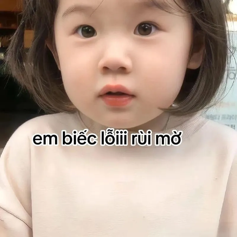 Cưng xỉu với ảnh meme vô tri cute siêu chất