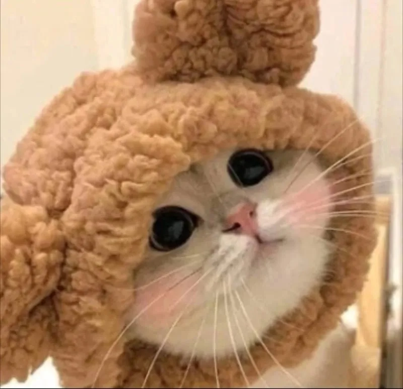 Thay đổi profile với avatar ảnh meme vô tri cực ngầu