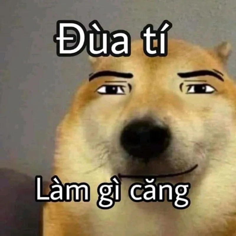 Sáng tạo bất tận từ meme meme ảnh vô tri hài