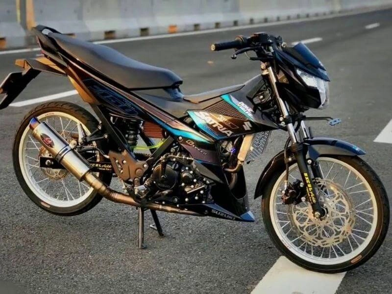 Chiêm ngưỡng sirius trắng xanh độ kiểng đậm chất