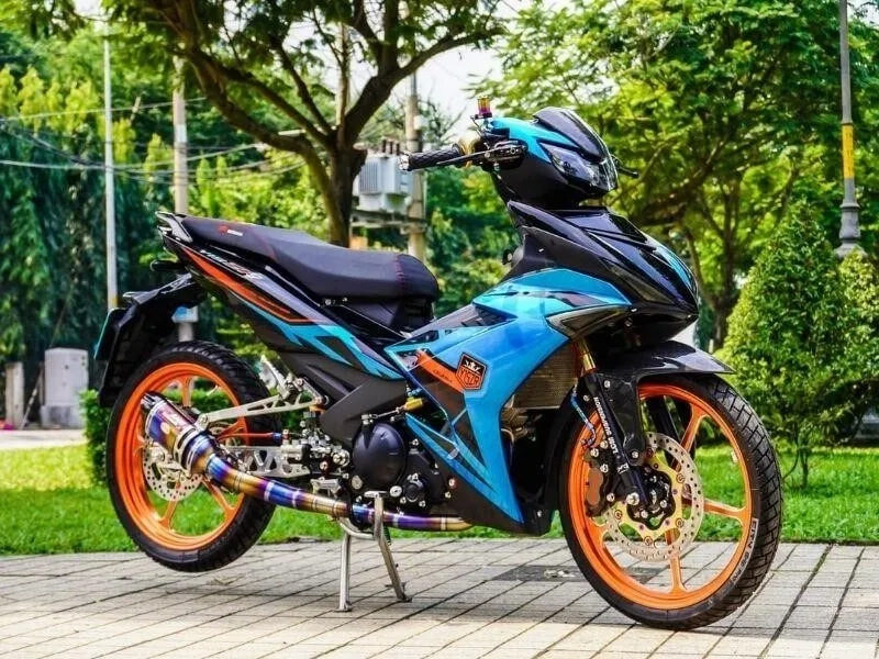 Khám phá ngay sirius đỏ trắng kiểng đậm cá tính