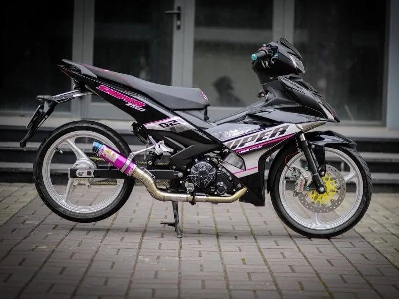 Ấn tượng mạnh với sirius đỏ đen kiểng đẹp