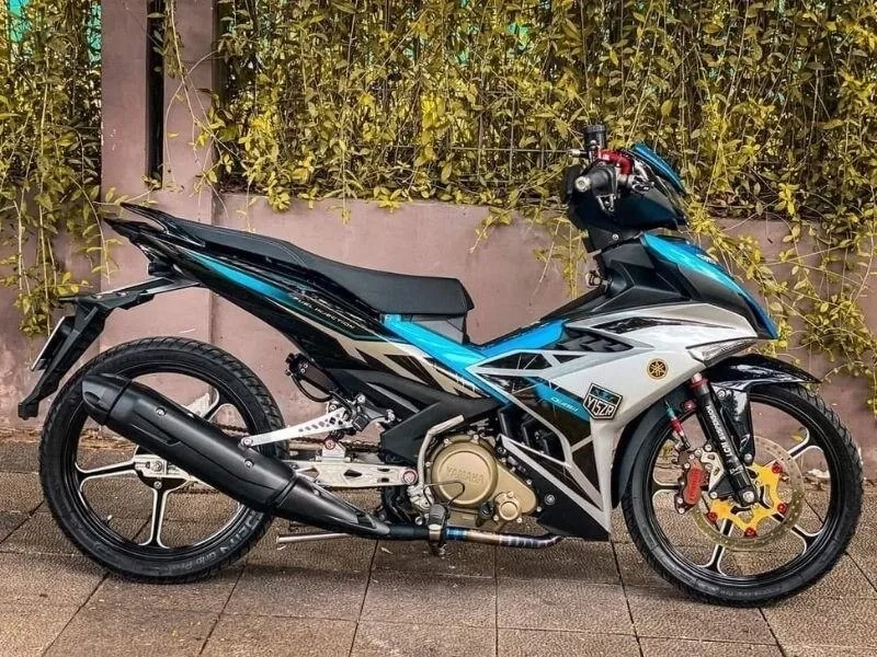 Sở hữu sirius đen kiểng đẹp cuốn hút