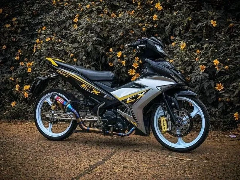 Khám phá sirius đen đỏ độ kiểng đậm chất