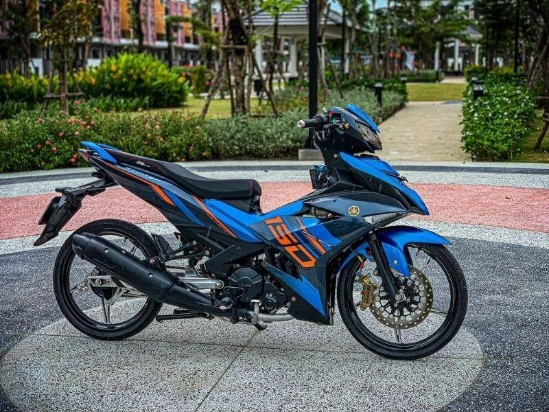 Ấn tượng với sirius đen độ đẹp nổi bật