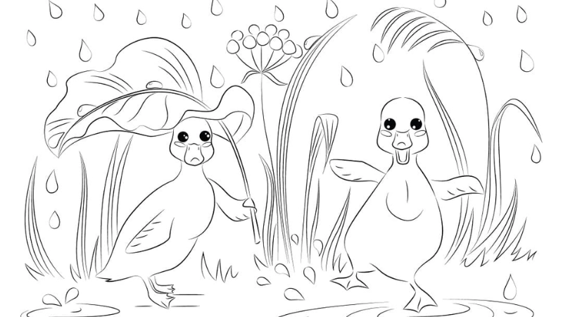  Tranh tô màu con vịt đơn giản giúp bé rèn luyện kỹ năng tô màu 