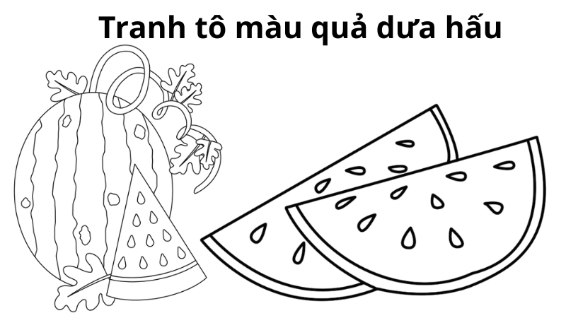 Tranh tô màu quả dưa hấu là như thế nào