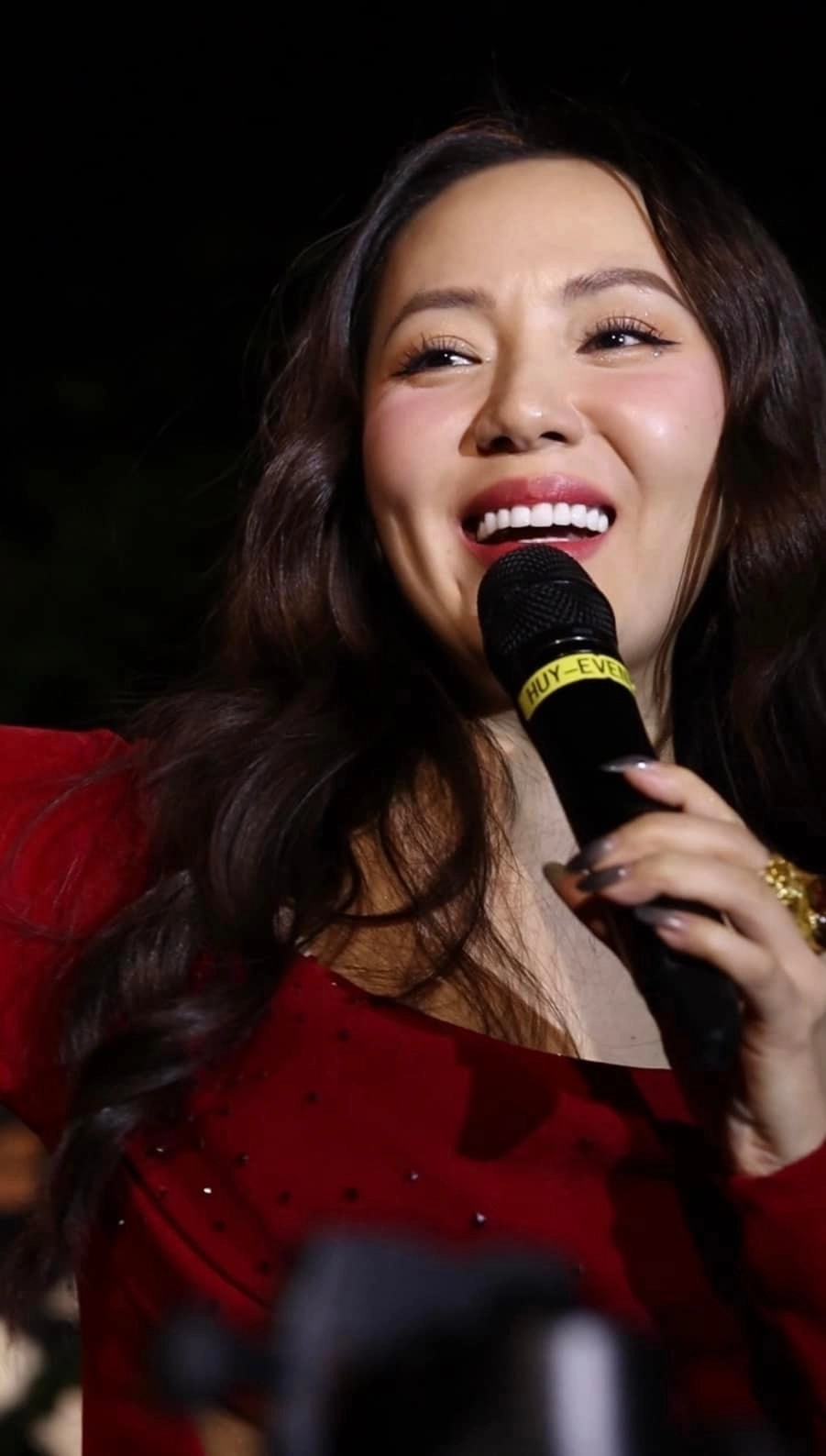 Visual chân dung nổi bật của Phương Linh ca sĩ