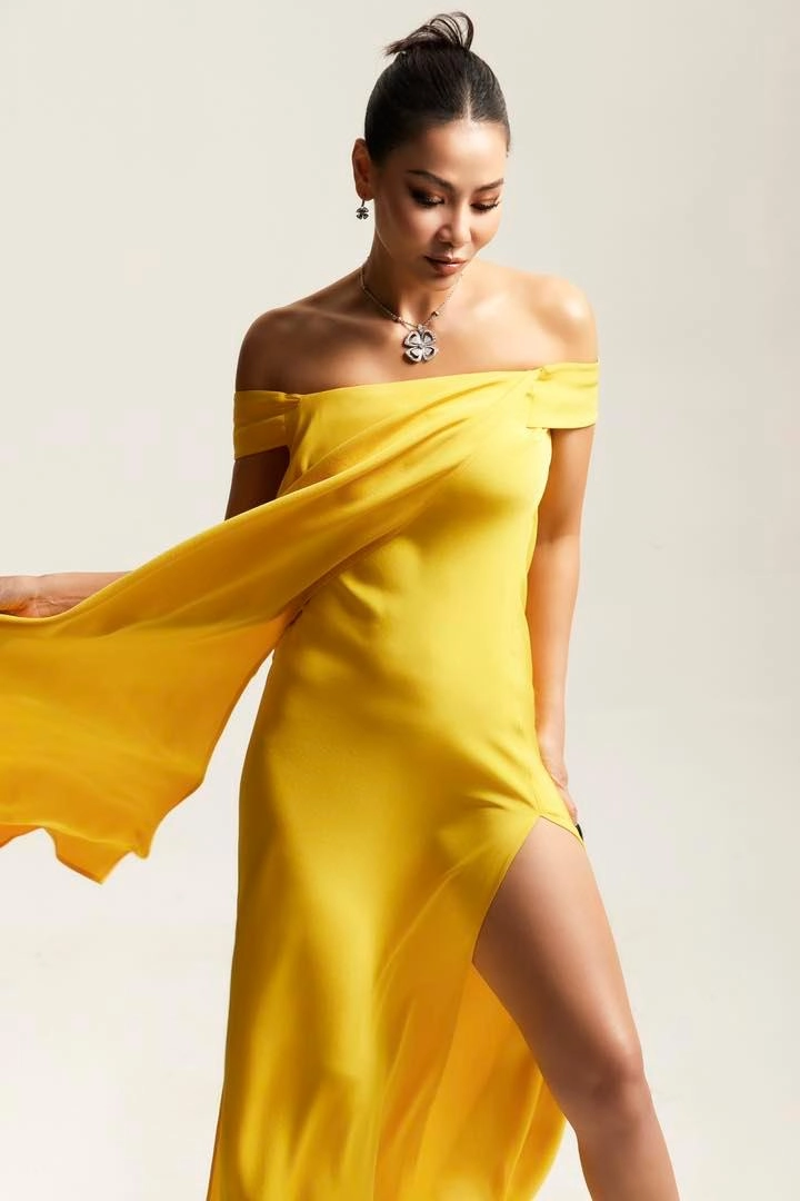 Ảnh cận mặt chứng minh Thu Minh sinh năm bao nhiêu không quan trọng