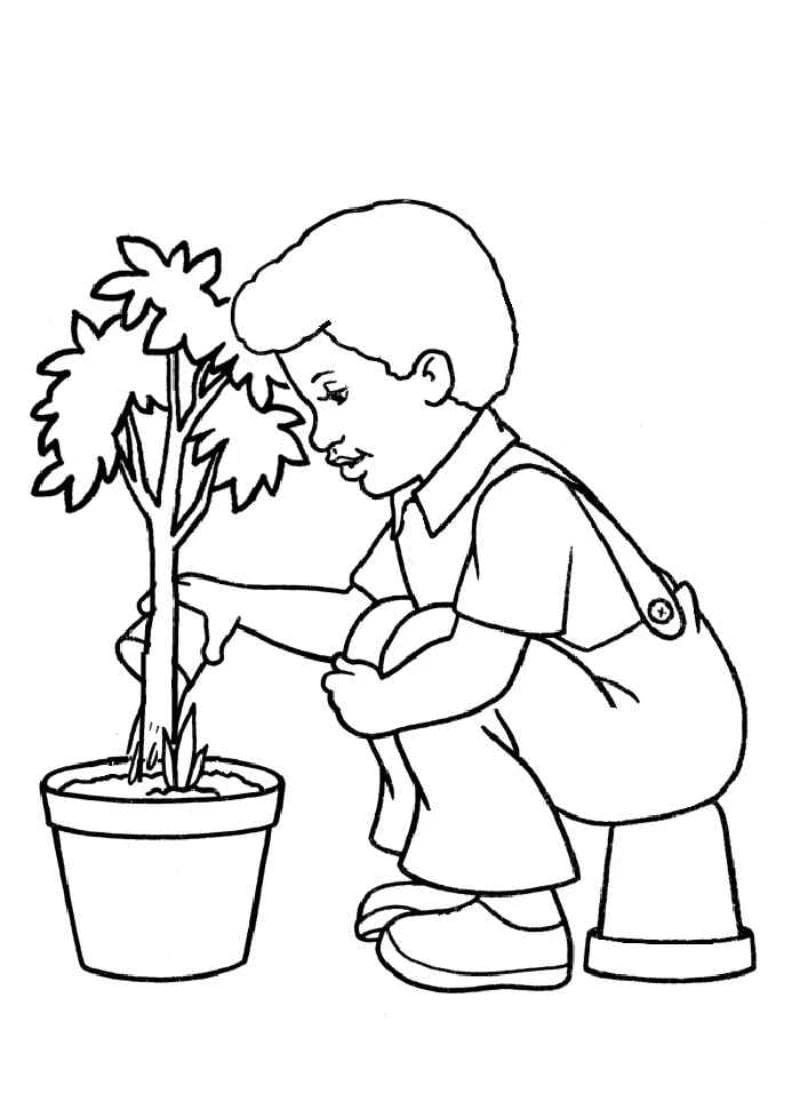 Gợi ý cho bài thi vẽ tranh chiếc ô tô mơ ước ấn tượng
