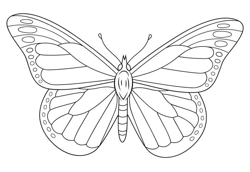 Khơi gợi sáng tạo với bé tô màu con bướm