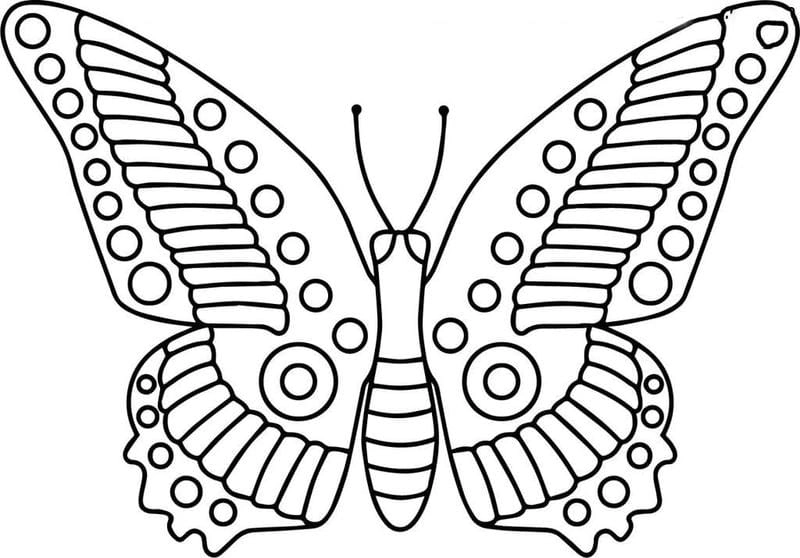 Hướng dẫn cách tô màu con bướm đẹp cho bé