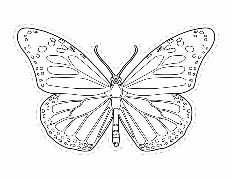 Khám phá bộ sưu tập hình bướm tô màu cho bé sáng tạo