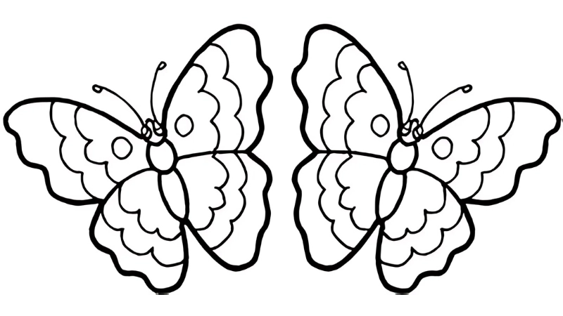 Khơi gợi sáng tạo từ hình ảnh tranh vẽ con bướm