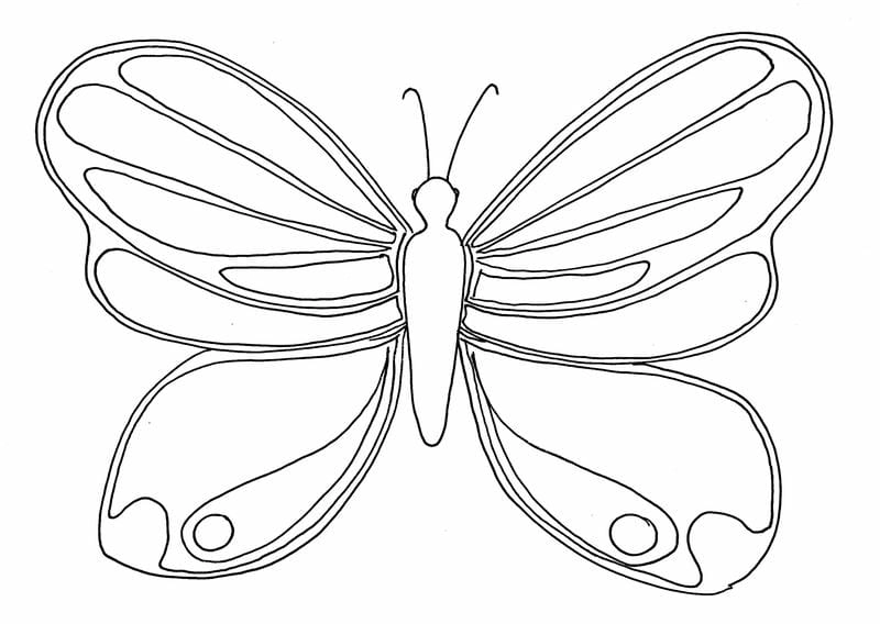 Rèn luyện khả năng sáng tạo với to mau hinh con buom