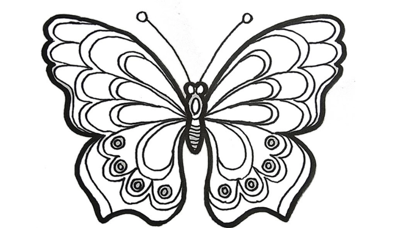 Tuyển chọn những tranh con buom to mau sinh động