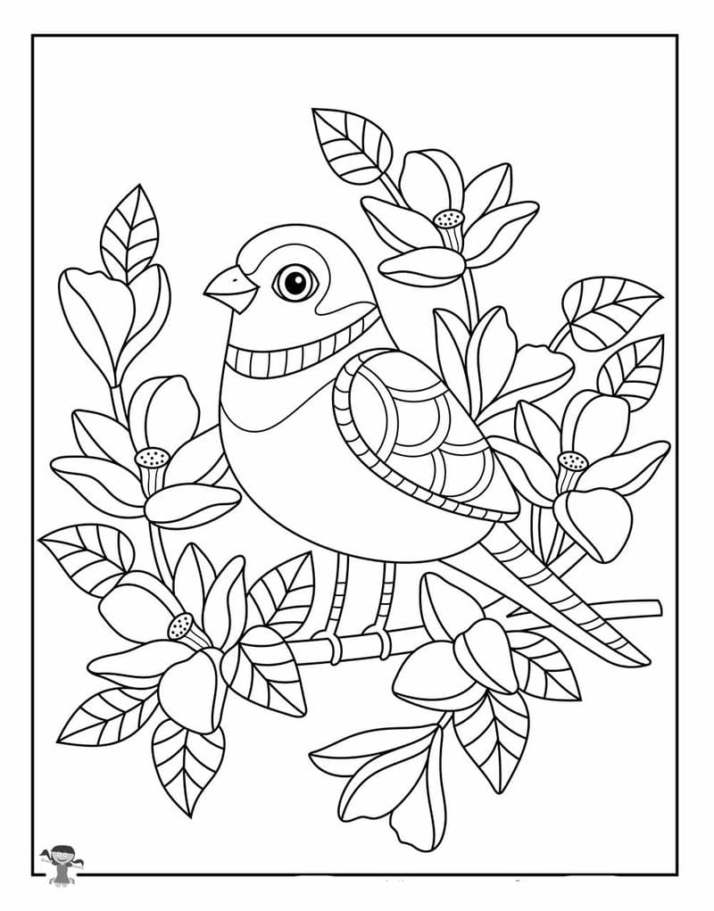 Khám phá ngay tranh tô màu con chim