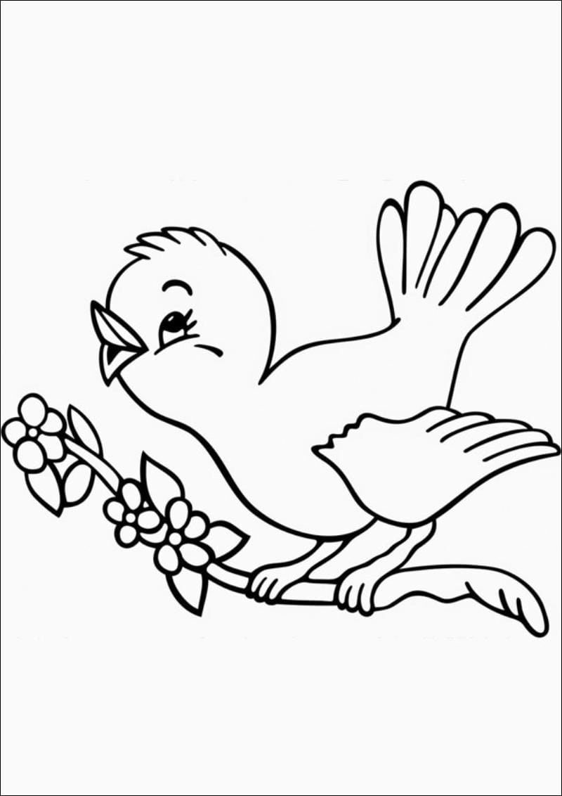 Sáng tạo dễ dàng với hình con chim cho bé tô màu