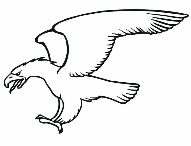 Tô điểm trí tưởng với hình con chim tô màu