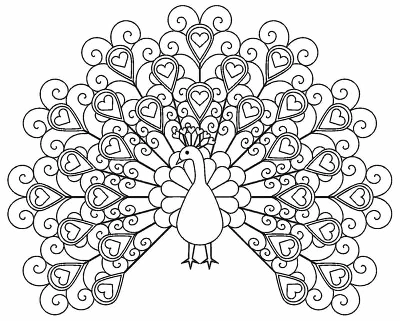 Khám phá nghệ thuật qua hình con công tô màu