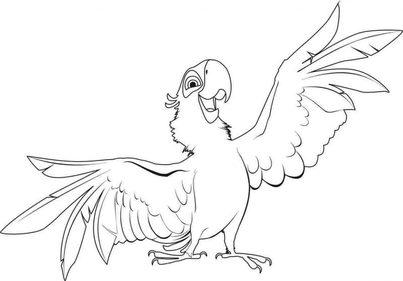 Học tô màu cực vui với tranh tô màu con chim đặc biệt là hình ảnh con vẹt tô màu