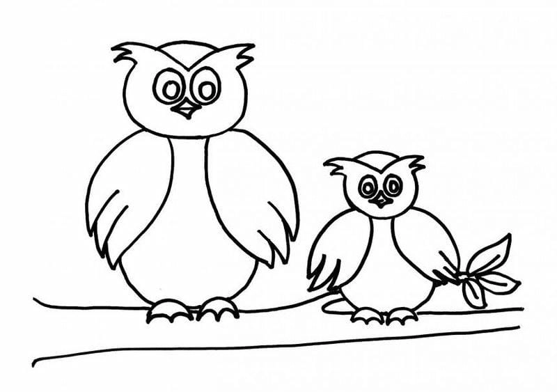 Khám phá đêm tối cùng tranh tô màu con chim siêu cute như tô màu chim cú mèo