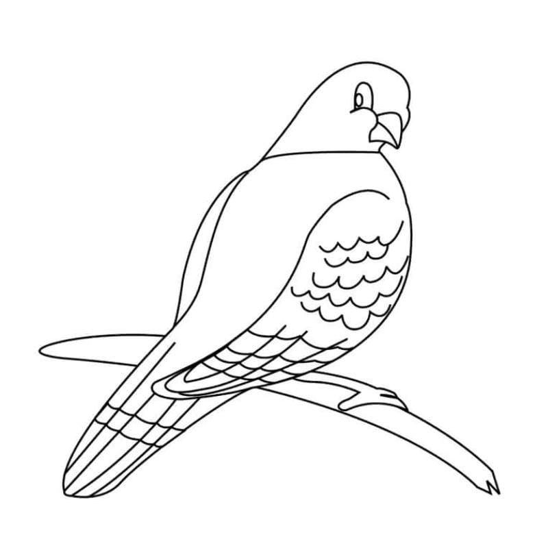 Lan tỏa yêu thương với tranh tô màu con chim dịu dàng từ tô màu con chim bồ câu