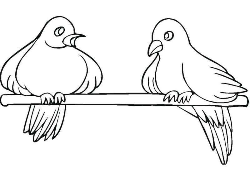 Gợi ý hay với tranh tô màu con chim bồ câu